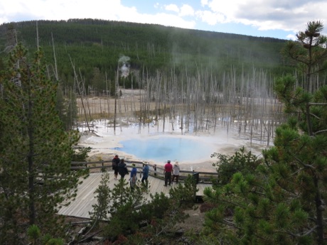 steamboat geyser, Yellowstone N.P.
